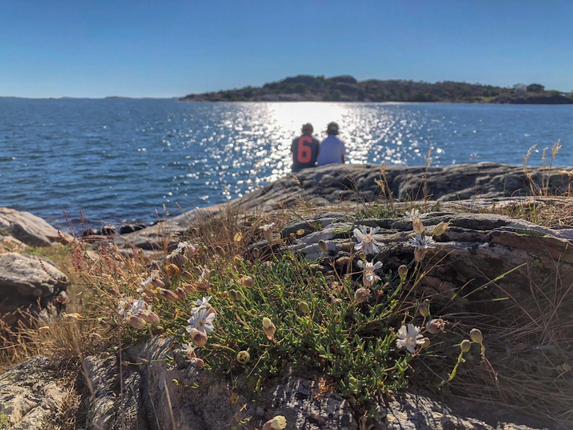 Tofta Herrgard Lycke Buitenkant foto